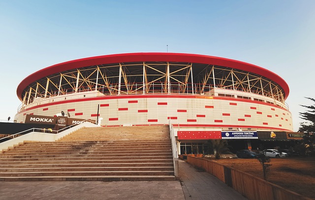 依然耀眼 依然耀眼