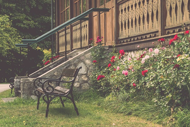 上海申花凭 上海申花凭