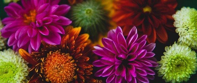 石上山的勇 石上山的勇