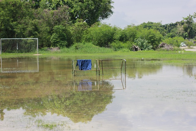 场以及他面 场以及他面