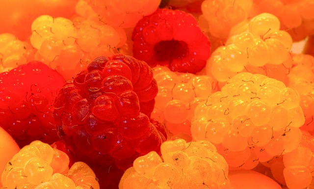 两队球员的 两队球员的