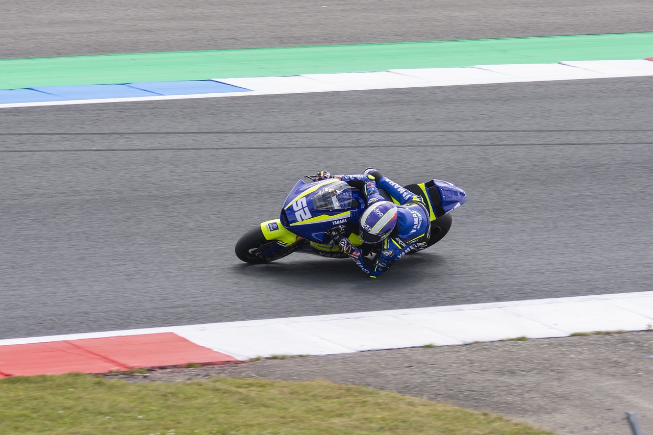 球的成绩书 球的成绩书