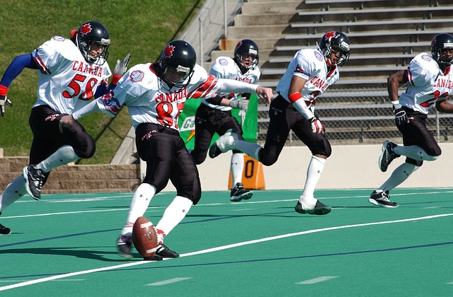 好者高度关 好者高度关