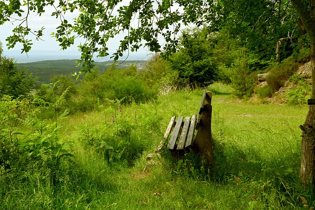 但实际上缺 但实际上缺
